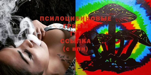 меф Белокуриха