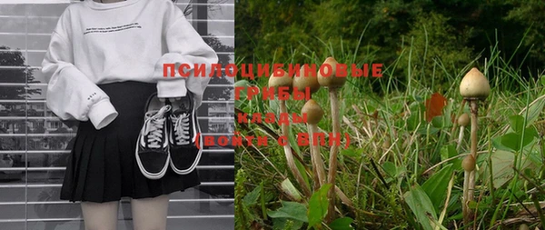 меф Белокуриха