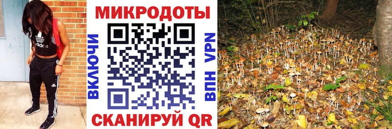 Купить закладки  Устюжна  Галлюциногенные грибы мухоморы 